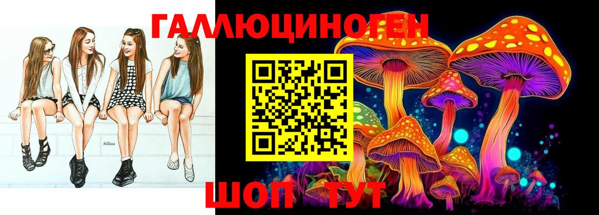 Псилоцибиновые грибы Psilocybe Россия