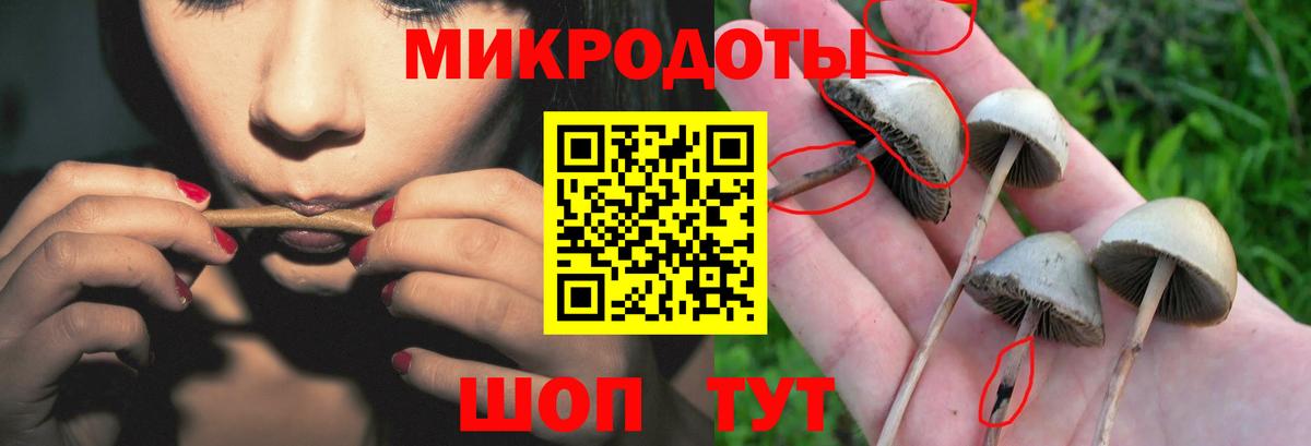 Россия  Галлюциногенные грибы MAGIC MUSHROOMS  Вход с VPN  Галлюциногенные грибы Psilocybine cubensis 